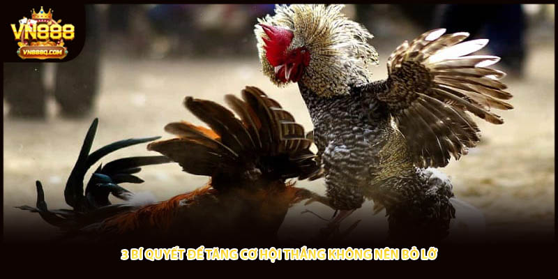 3 bí quyết để tăng cơ hội thắng không nên bỏ lỡ