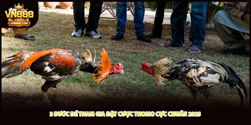 3 bước để tham gia đặt cược Thomo cực chuẩn 2025