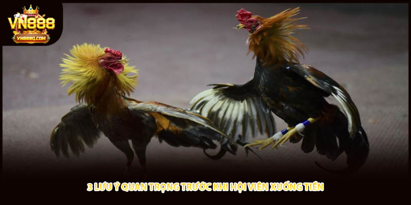 3 lưu ý quan trọng trước khi hội viên xuống tiền