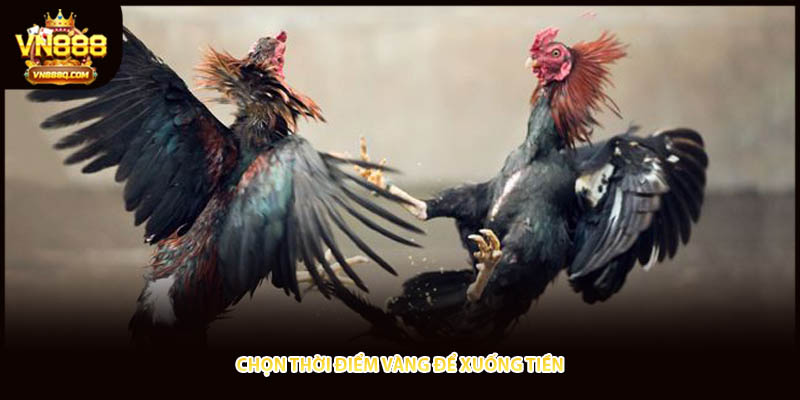 Chọn thời điểm vàng để xuống tiền