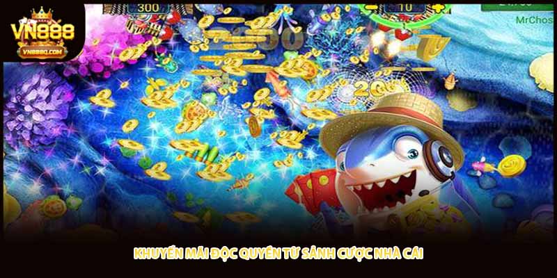 Khuyến mãi độc quyền từ sảnh cược nhà cái