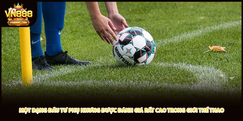 Một dạng đầu tư phụ nhưng được đánh giá rất cao trong giới thể thao