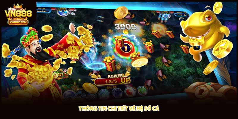 Thông tin chi tiết về hệ số cá